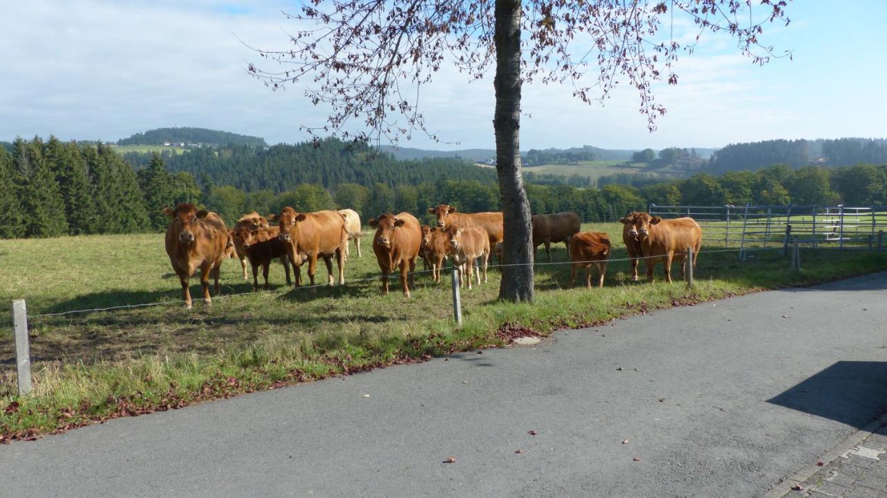 Aussichtsbauernhofpension Hof Gretchens Winterberg Bagian luar foto