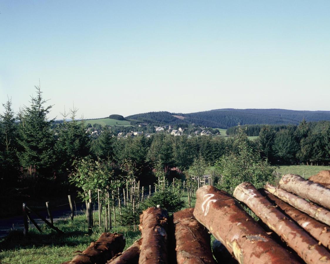 Aussichtsbauernhofpension Hof Gretchens Winterberg Bagian luar foto