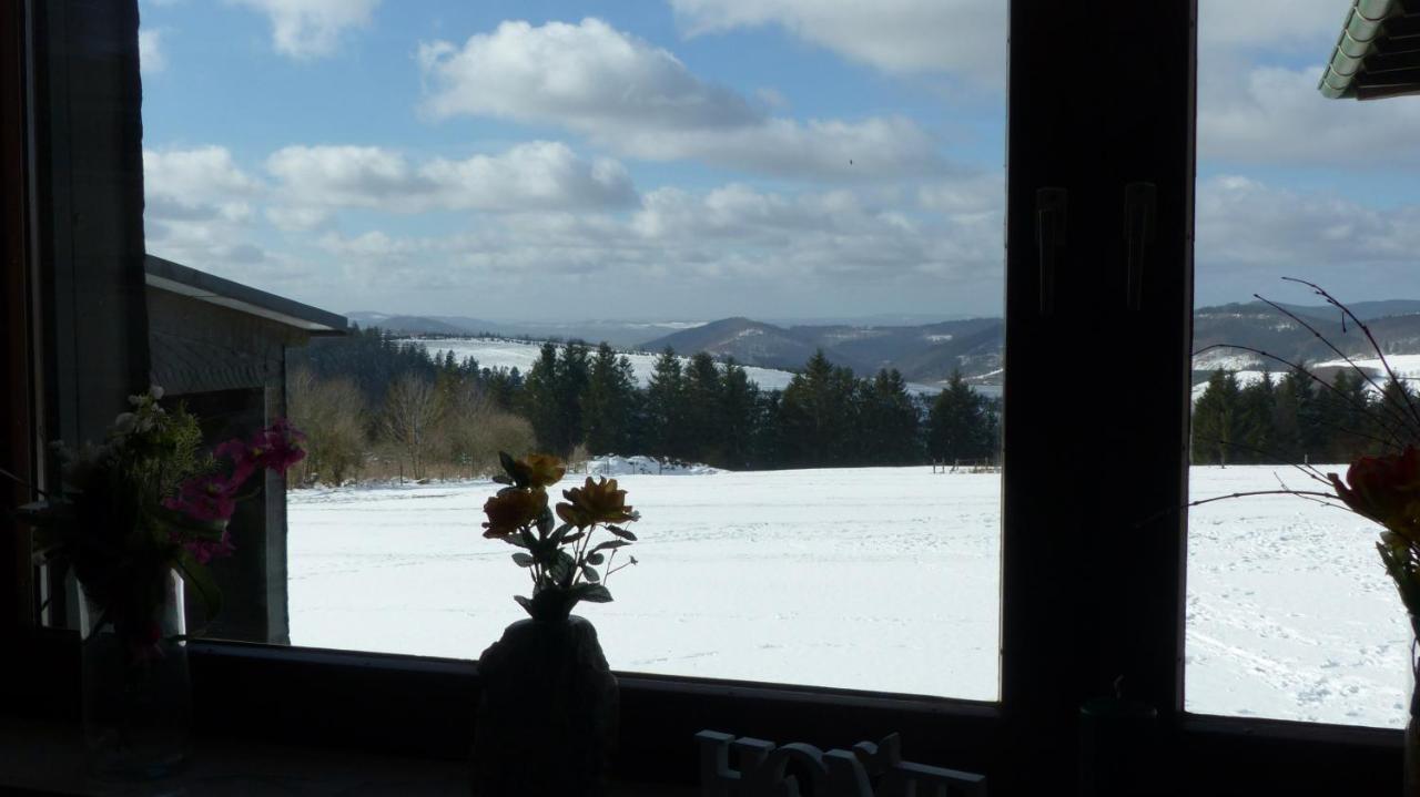 Aussichtsbauernhofpension Hof Gretchens Winterberg Bagian luar foto