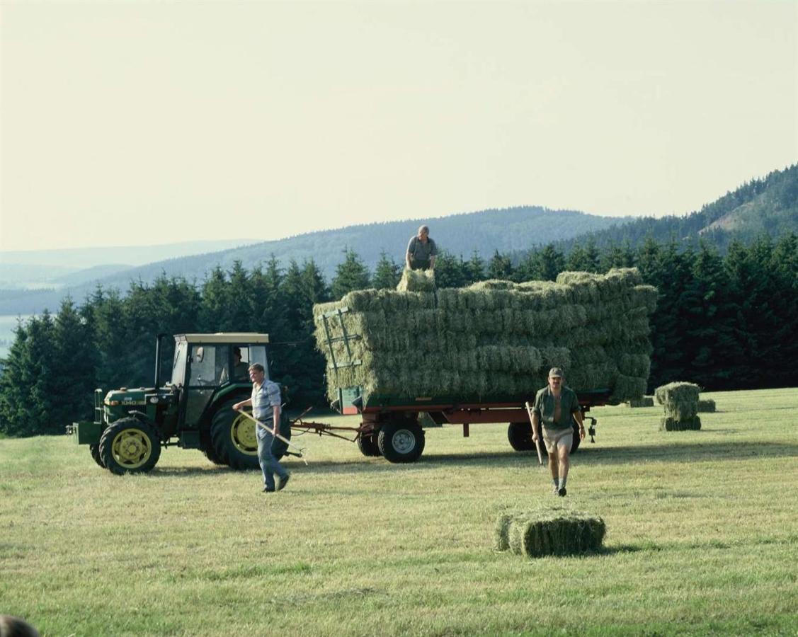 Aussichtsbauernhofpension Hof Gretchens Winterberg Bagian luar foto
