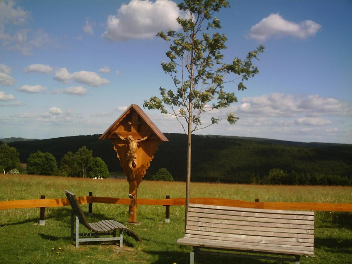 Aussichtsbauernhofpension Hof Gretchens Winterberg Bagian luar foto