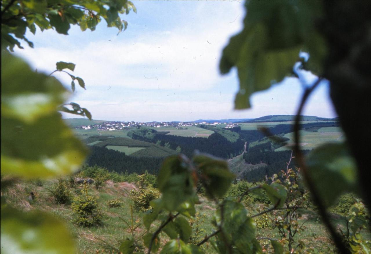 Aussichtsbauernhofpension Hof Gretchens Winterberg Bagian luar foto